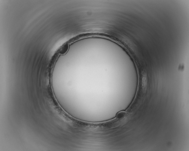 X0000113101069200909111046