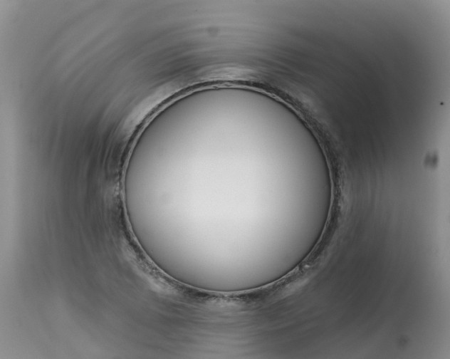 X0000113101073200909111046