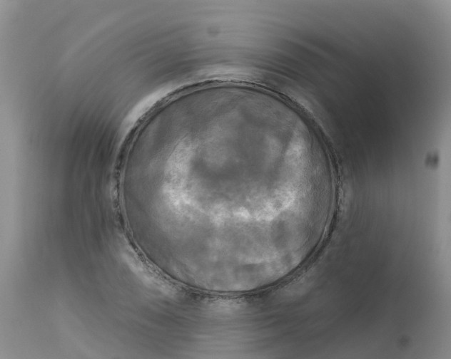 X0000113101074200909111046