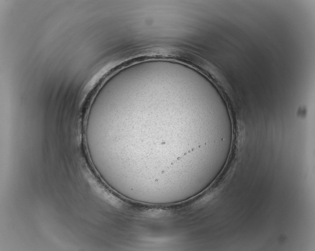 X0000113101075200909111046