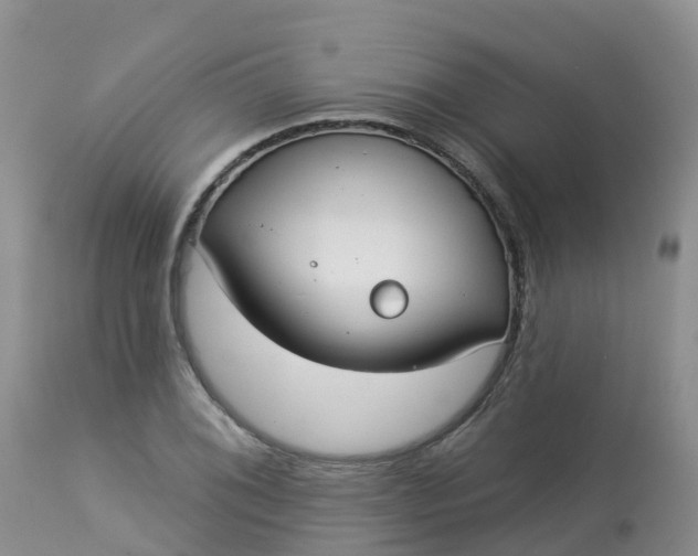 X0000113101076200909111046