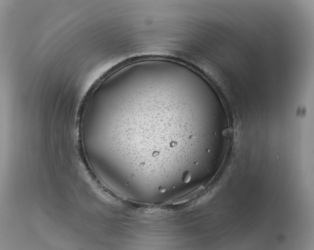 X0000113101077200909111046