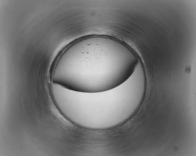X0000113101080200909111046