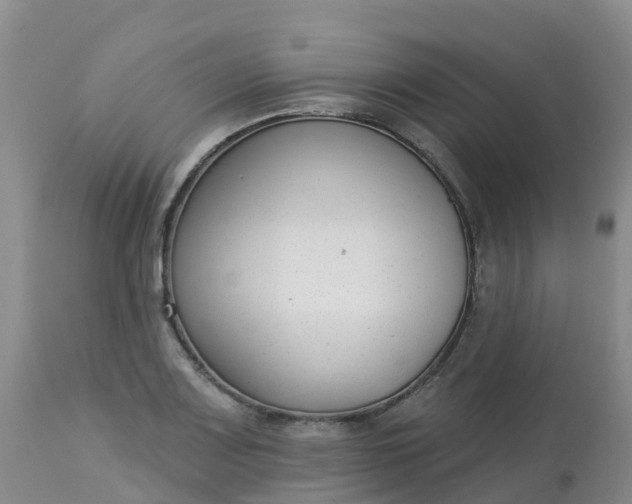 X0000113101083200909111046