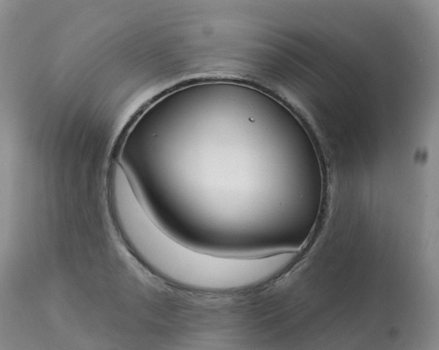 X0000113101085200909111046