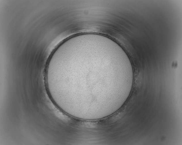 X0000113101086200909111046