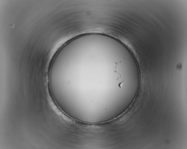 X0000113101088200909111046