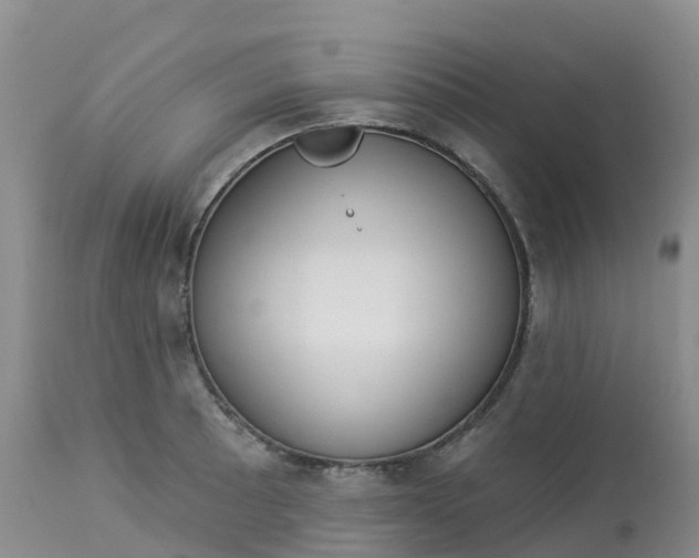 X0000113101089200909111045