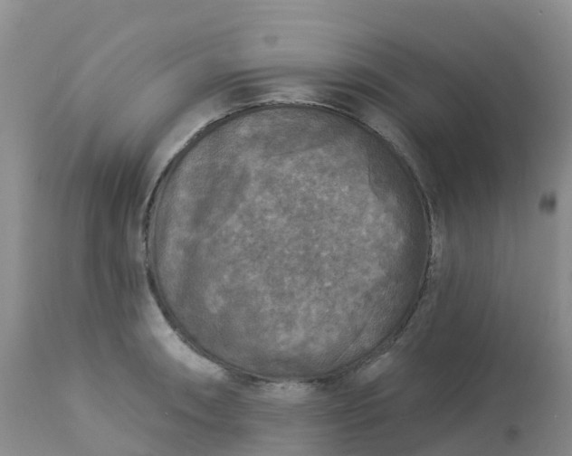 X0000113101090200909111045
