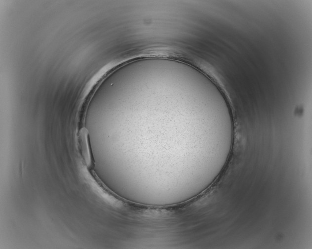 X0000113101091200909111045
