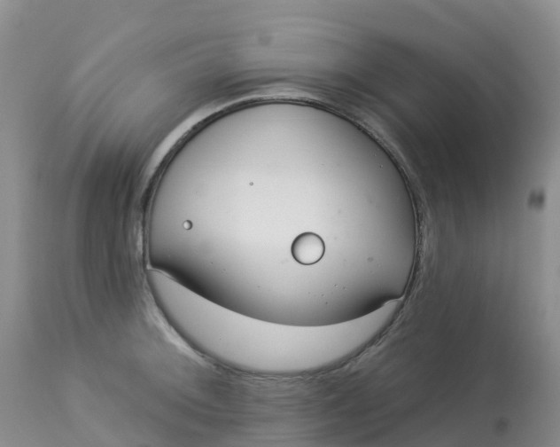 X0000113101092200909111045