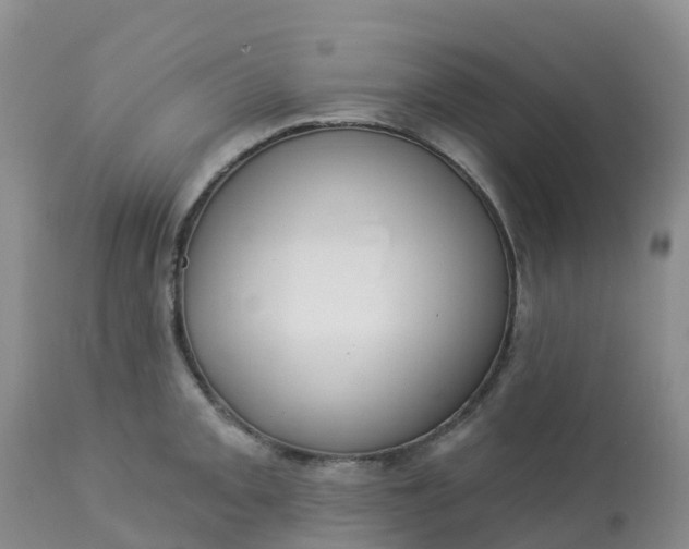 X0000113101093200909111045
