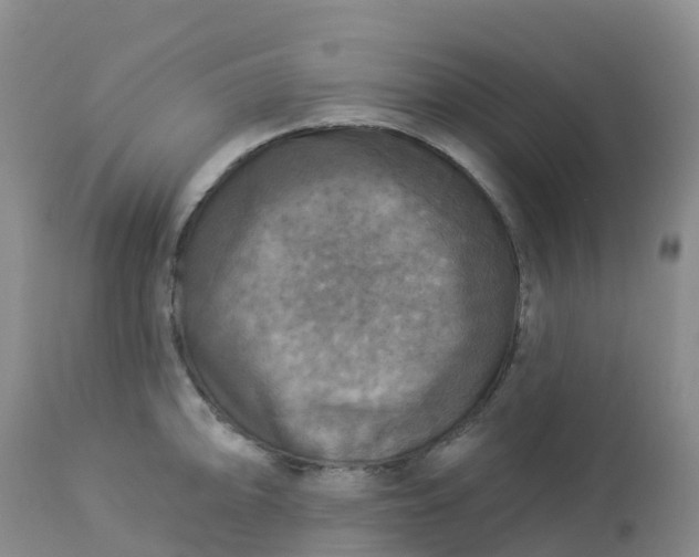 X0000113101094200909111045