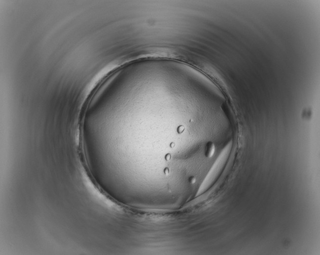 X0000113101095200909111045
