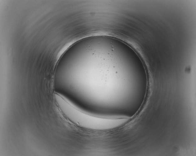 X0000113101097200909111045