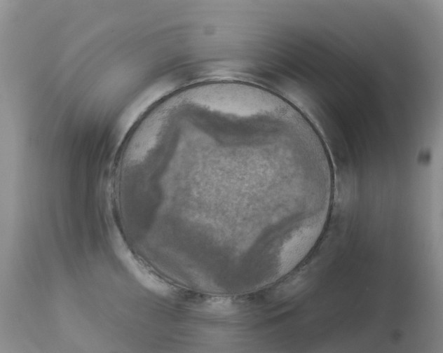 X0000113101098200909111045
