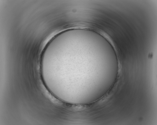 X0000113101099200909111045