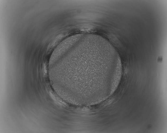 X0000113101106200909111044