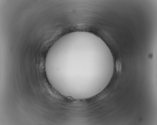 X0000113101107200909111045