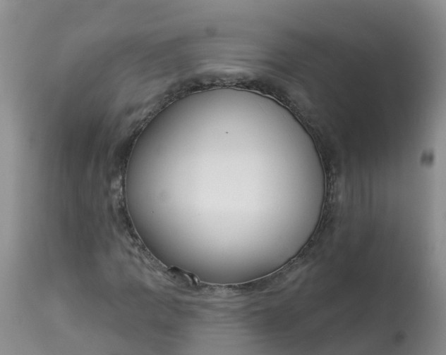 X0000113101109200909111045