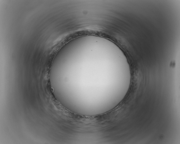 X0000113101110200909111045