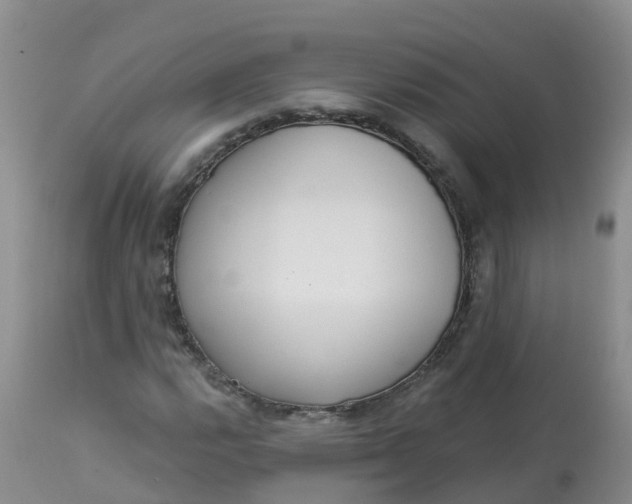 X0000113101112200909111045