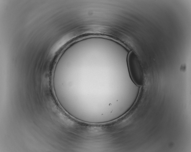X0000113101114200909111045