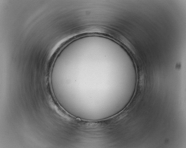 X0000113101116200909111045