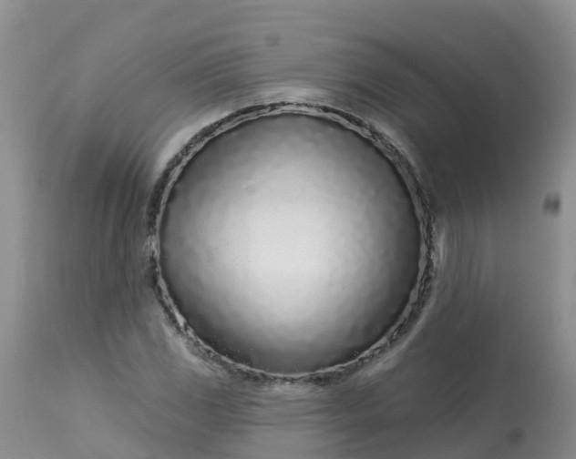 X0000113101117200909111045
