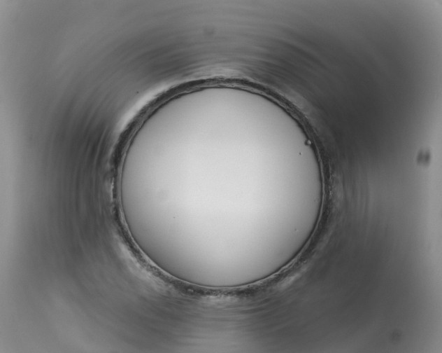 X0000113101118200909111045