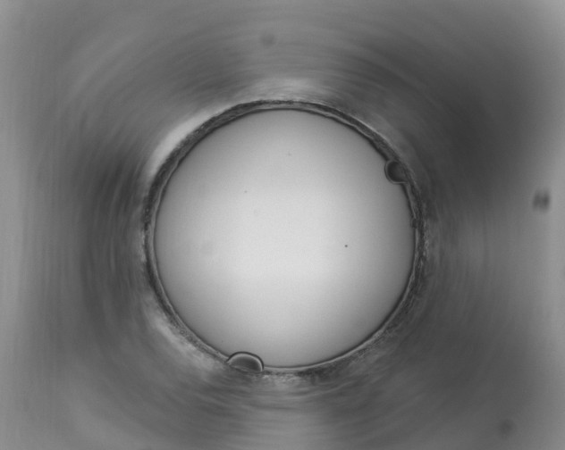 X0000113101120200909111045