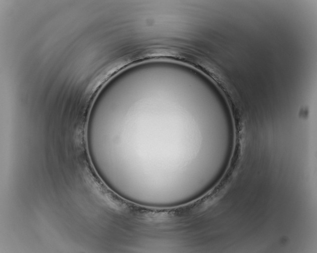 X0000113101121200909111045