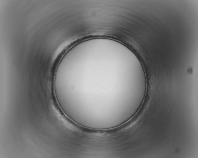 X0000113101122200909111045