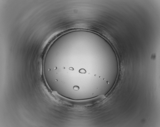 X0000113101123200909111045