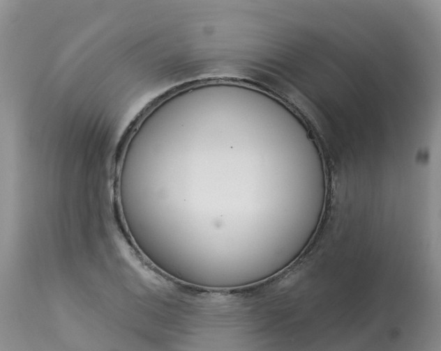 X0000113101124200909111045