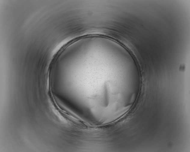 X0000113101127200909111045