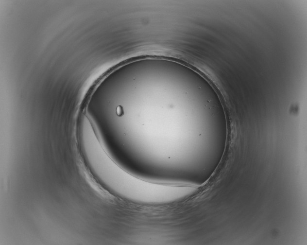X0000113101128200909111045