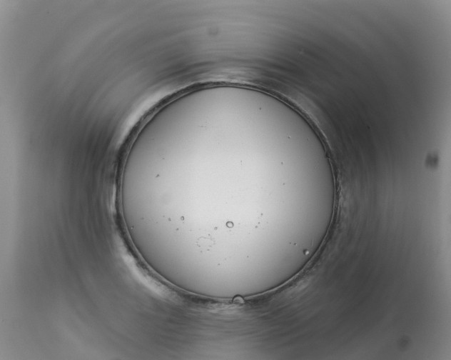 X0000113101131200909111045
