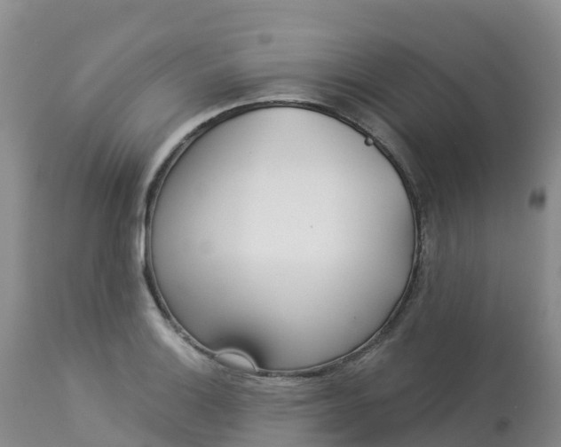 X0000113101132200909111045