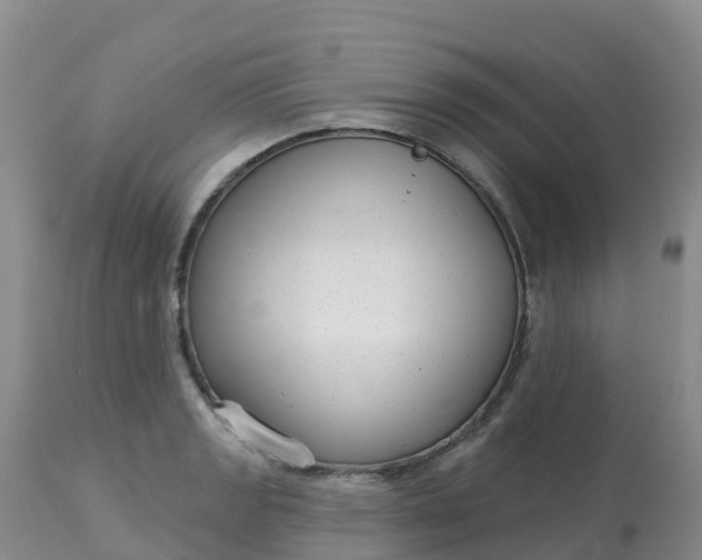 X0000113101133200909111045