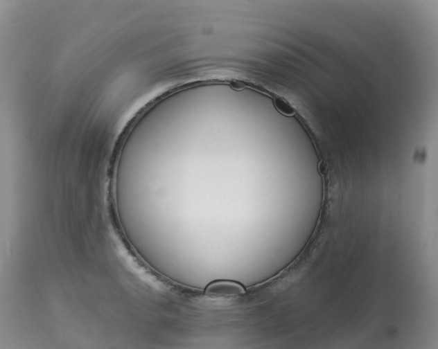 X0000113101134200909111045