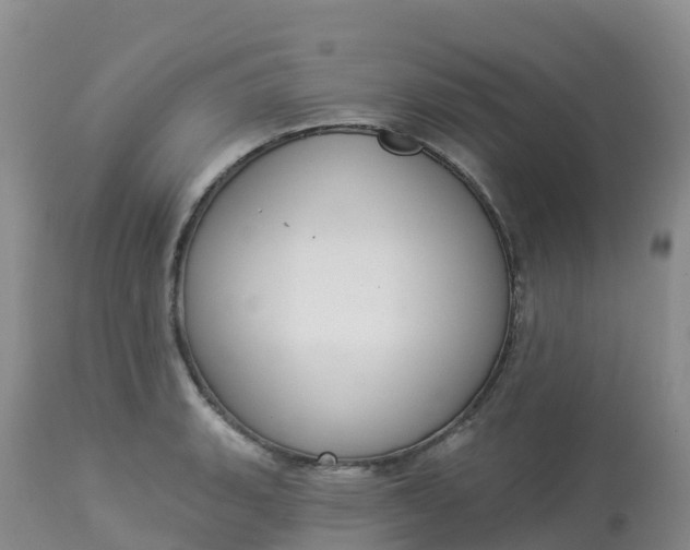 X0000113101135200909111045