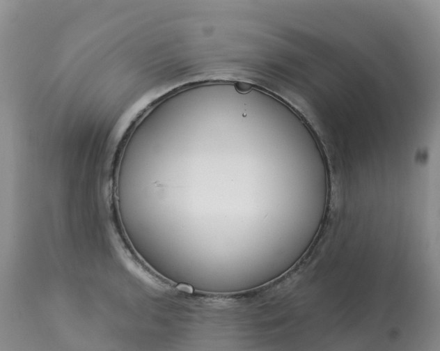 X0000113101136200909111045