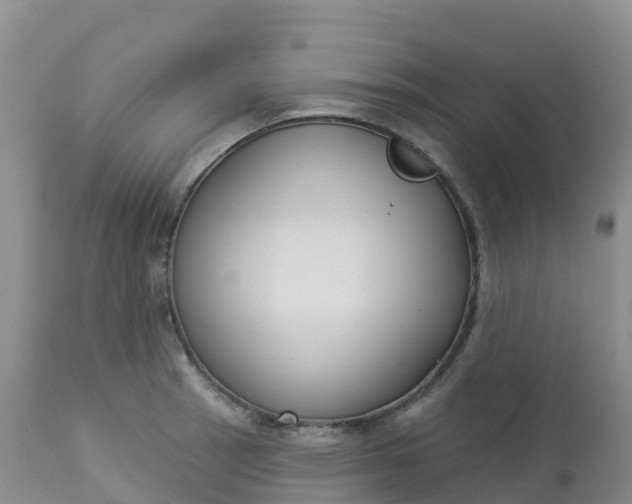 X0000113101137200909111045
