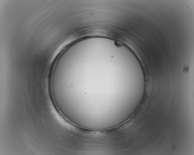 X0000113101139200909111045