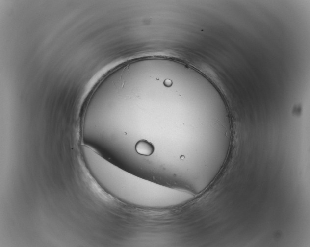 X0000113101140200909111045