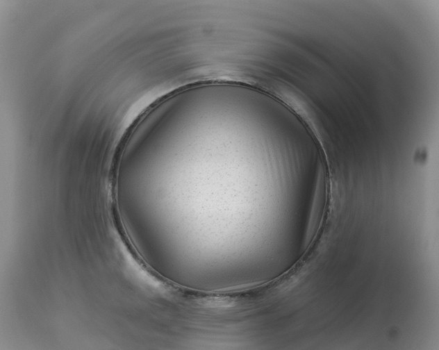 X0000113101141200909111045