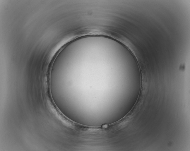 X0000113101142200909111045