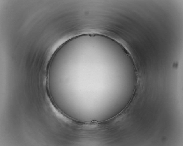 X0000113101143200909111045