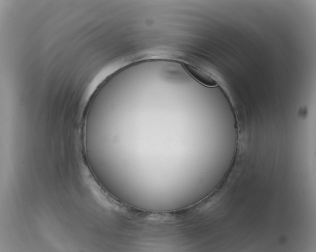 X0000113101146200909111045